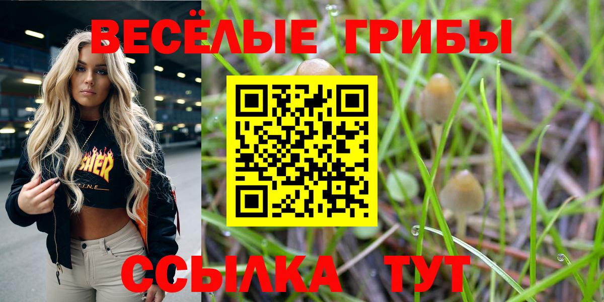закладка  Вход с VPN  Елабуга  Галлюциногенные грибы GOLDEN TEACHER  Галлюциногенные грибы мухоморы 